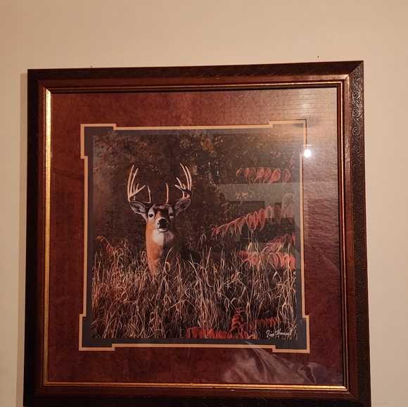Home Interiors Accents Retired Home Interior Deer Pic Poshmark